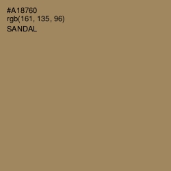 #A18760 - Sandal Color Image