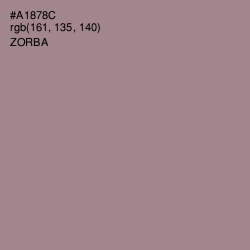 #A1878C - Zorba Color Image