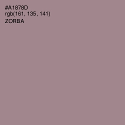 #A1878D - Zorba Color Image