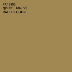 #A18853 - Barley Corn Color Image