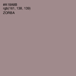 #A18A8B - Zorba Color Image