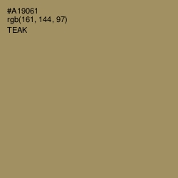 #A19061 - Teak Color Image