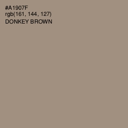 #A1907F - Donkey Brown Color Image