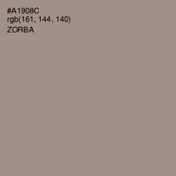 #A1908C - Zorba Color Image