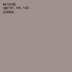 #A1918E - Zorba Color Image