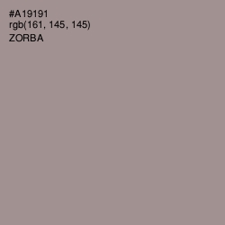 #A19191 - Zorba Color Image