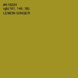 #A19224 - Lemon Ginger Color Image