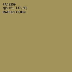 #A19359 - Barley Corn Color Image