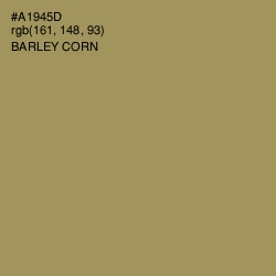 #A1945D - Barley Corn Color Image