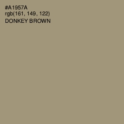 #A1957A - Donkey Brown Color Image