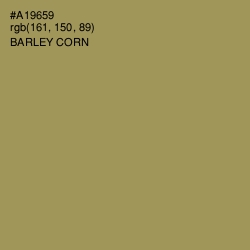 #A19659 - Barley Corn Color Image