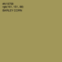 #A19758 - Barley Corn Color Image