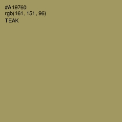 #A19760 - Teak Color Image