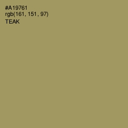 #A19761 - Teak Color Image