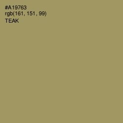 #A19763 - Teak Color Image