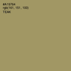 #A19764 - Teak Color Image