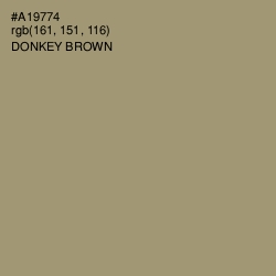 #A19774 - Donkey Brown Color Image