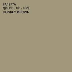 #A1977A - Donkey Brown Color Image