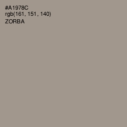#A1978C - Zorba Color Image