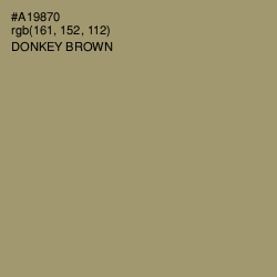 #A19870 - Donkey Brown Color Image