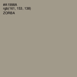 #A1998A - Zorba Color Image