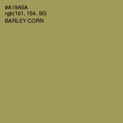 #A19A5A - Barley Corn Color Image