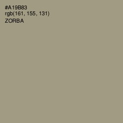 #A19B83 - Zorba Color Image