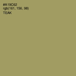 #A19C62 - Teak Color Image