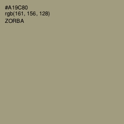 #A19C80 - Zorba Color Image