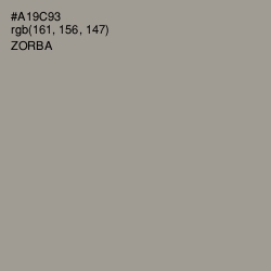 #A19C93 - Zorba Color Image