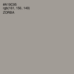 #A19C95 - Zorba Color Image