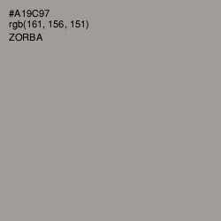 #A19C97 - Zorba Color Image