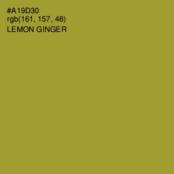 #A19D30 - Lemon Ginger Color Image