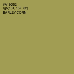 #A19D52 - Barley Corn Color Image
