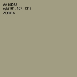 #A19D83 - Zorba Color Image