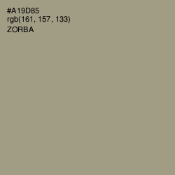 #A19D85 - Zorba Color Image