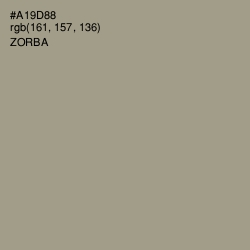#A19D88 - Zorba Color Image