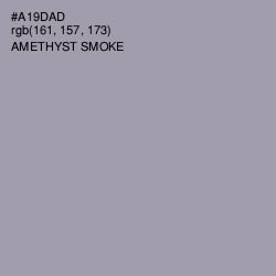 #A19DAD - Amethyst Smoke Color Image