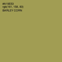 #A19E53 - Barley Corn Color Image