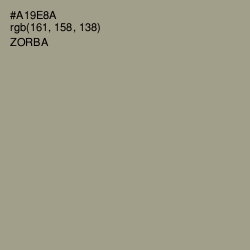 #A19E8A - Zorba Color Image