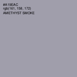 #A19EAC - Amethyst Smoke Color Image