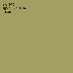 #A19F61 - Teak Color Image