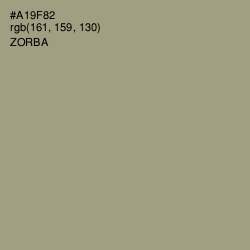 #A19F82 - Zorba Color Image