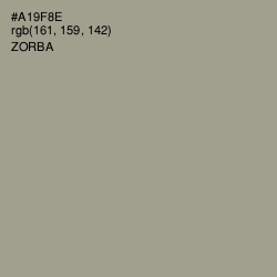 #A19F8E - Zorba Color Image
