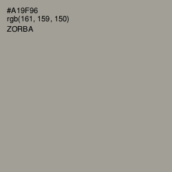 #A19F96 - Zorba Color Image