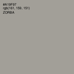 #A19F97 - Zorba Color Image