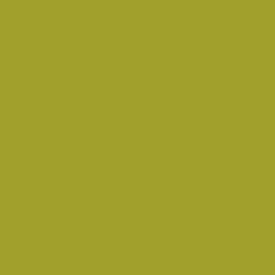 #A1A02D - Lemon Ginger Color Image