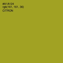 #A1A124 - Citron Color Image