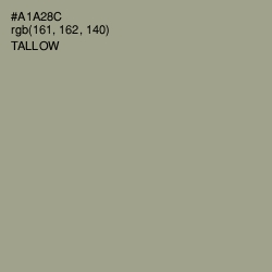 #A1A28C - Tallow Color Image