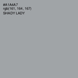 #A1A4A7 - Shady Lady Color Image